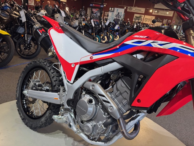 2021 Honda CRF 300L ABS at Martin Moto