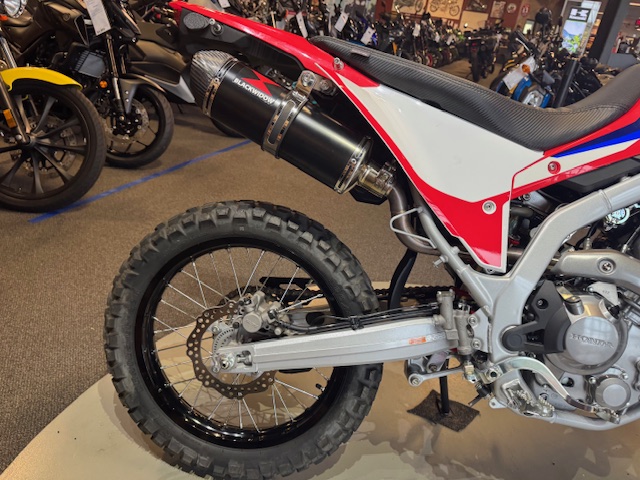 2021 Honda CRF 300L ABS at Martin Moto