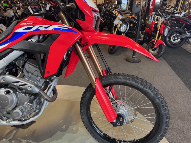 2021 Honda CRF 300L ABS at Martin Moto