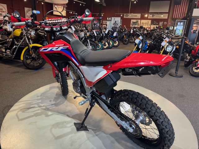 2021 Honda CRF 300L ABS at Martin Moto