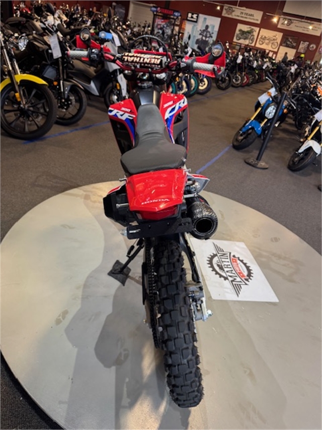 2021 Honda CRF 300L ABS at Martin Moto