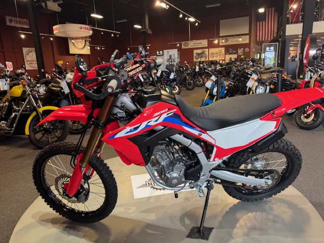 2021 Honda CRF 300L ABS at Martin Moto