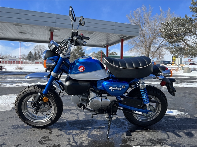2021 Honda Monkey Base at Aces Motorcycles - Fort Collins