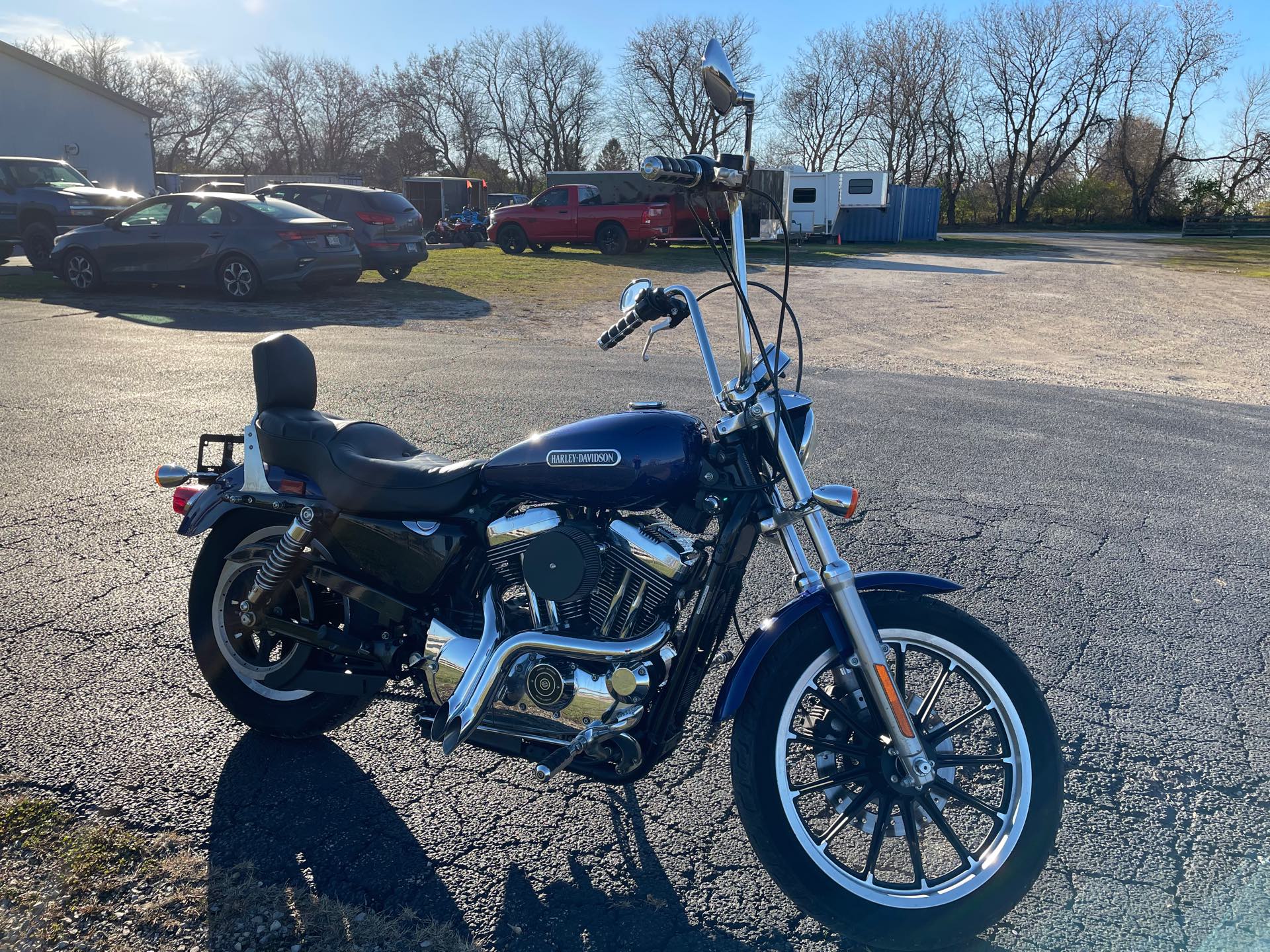 2006 Harley-Davidson Sportster 1200 Low at Randy's Cycle