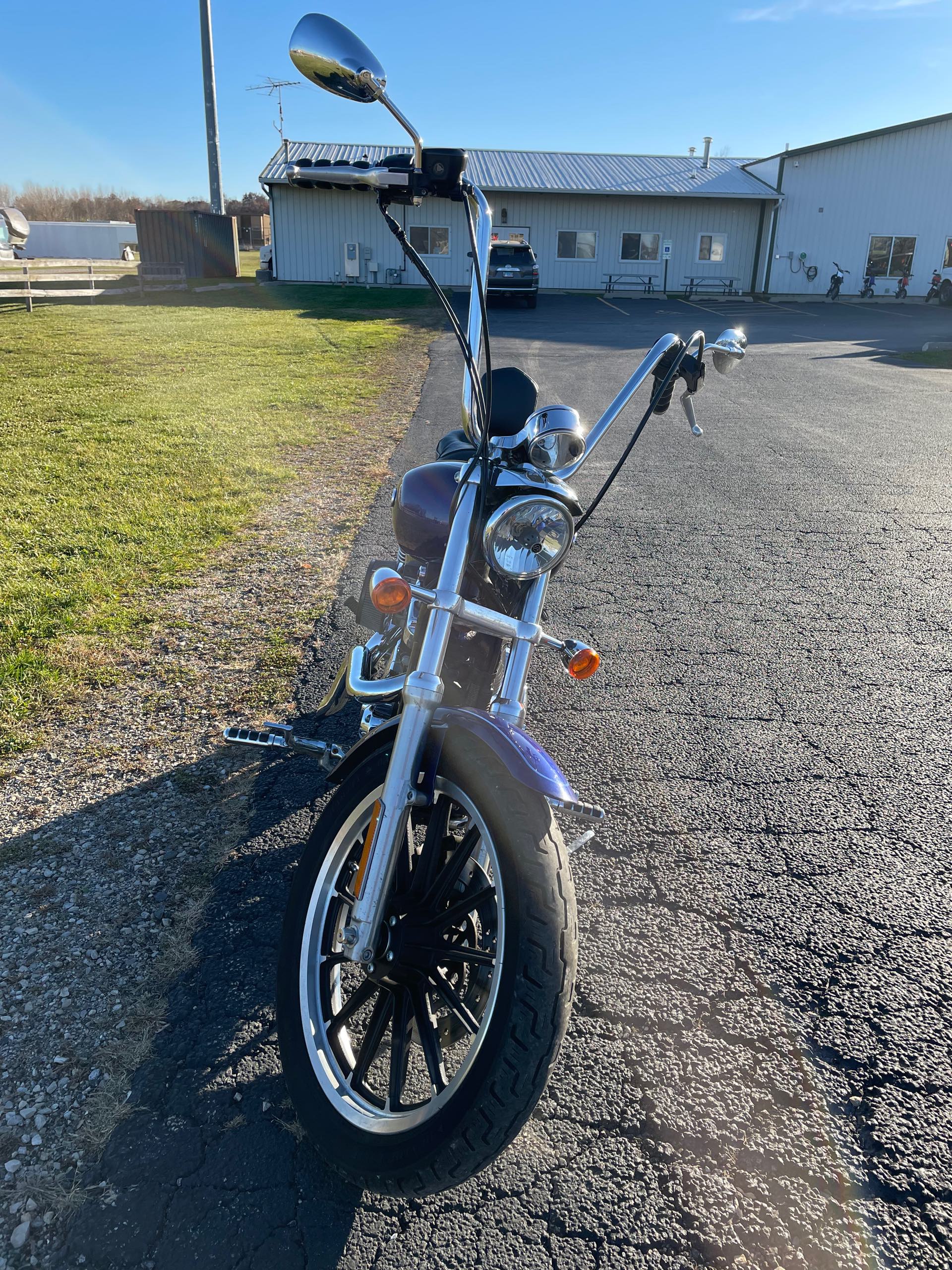 2006 Harley-Davidson Sportster 1200 Low at Randy's Cycle