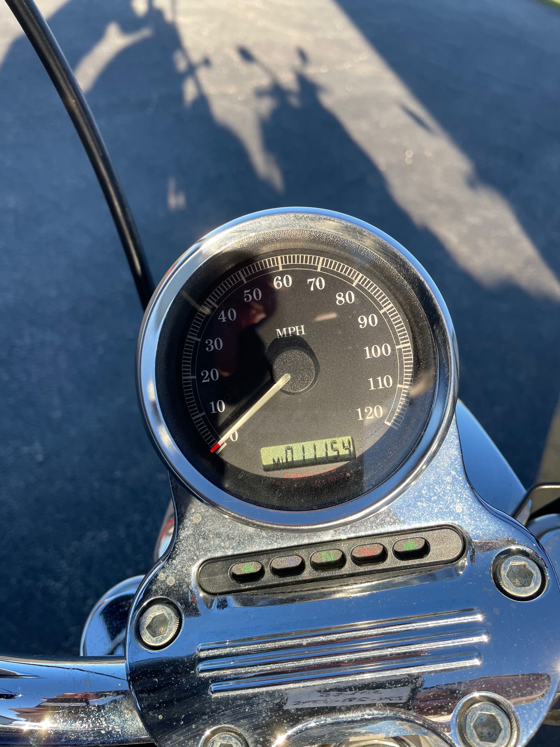 2006 Harley-Davidson Sportster 1200 Low at Randy's Cycle