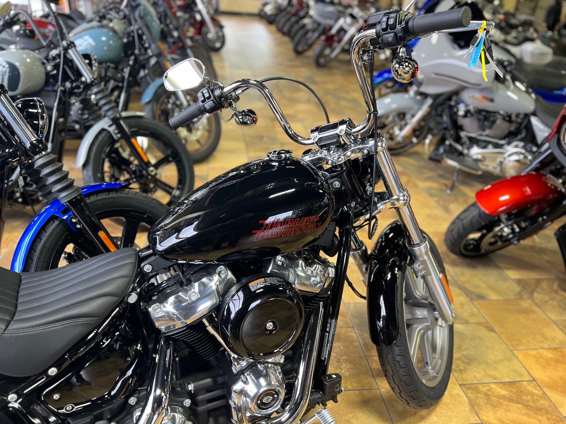 2024 Harley-Davidson Softail Standard at Man O'War Harley-Davidson®