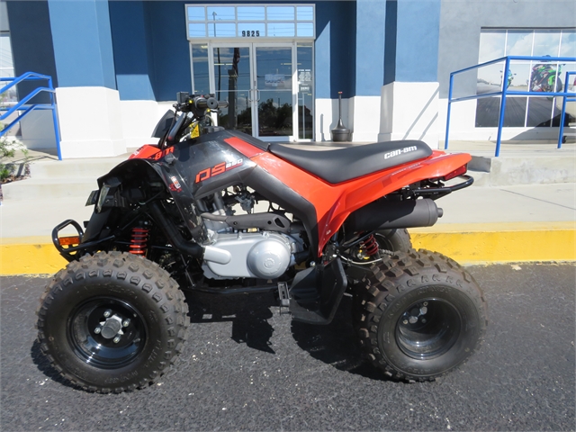 2022 Can-Am DS 250 at Sky Powersports Port Richey