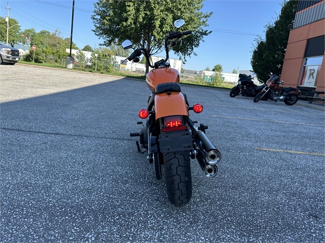 2024 Harley-Davidson Softail Street Bob 114 at Thunder Road Harley-Davidson