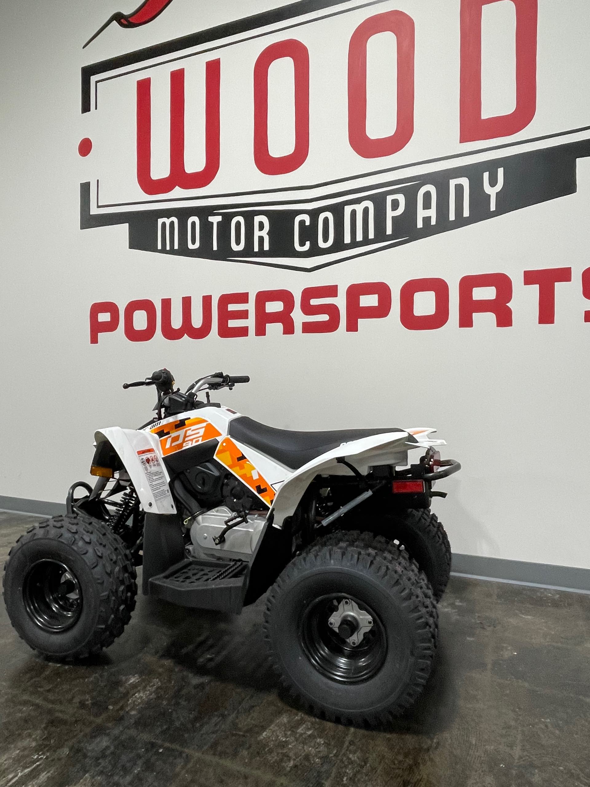 2022 Can-Am DS 90 at Wood Powersports Harrison