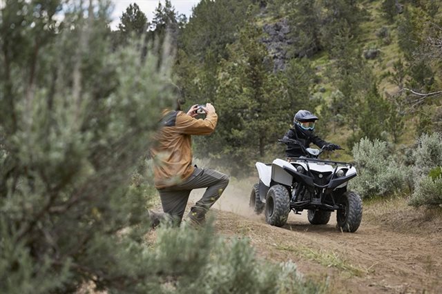 2024 Yamaha Grizzly 90 at Arkport Cycles