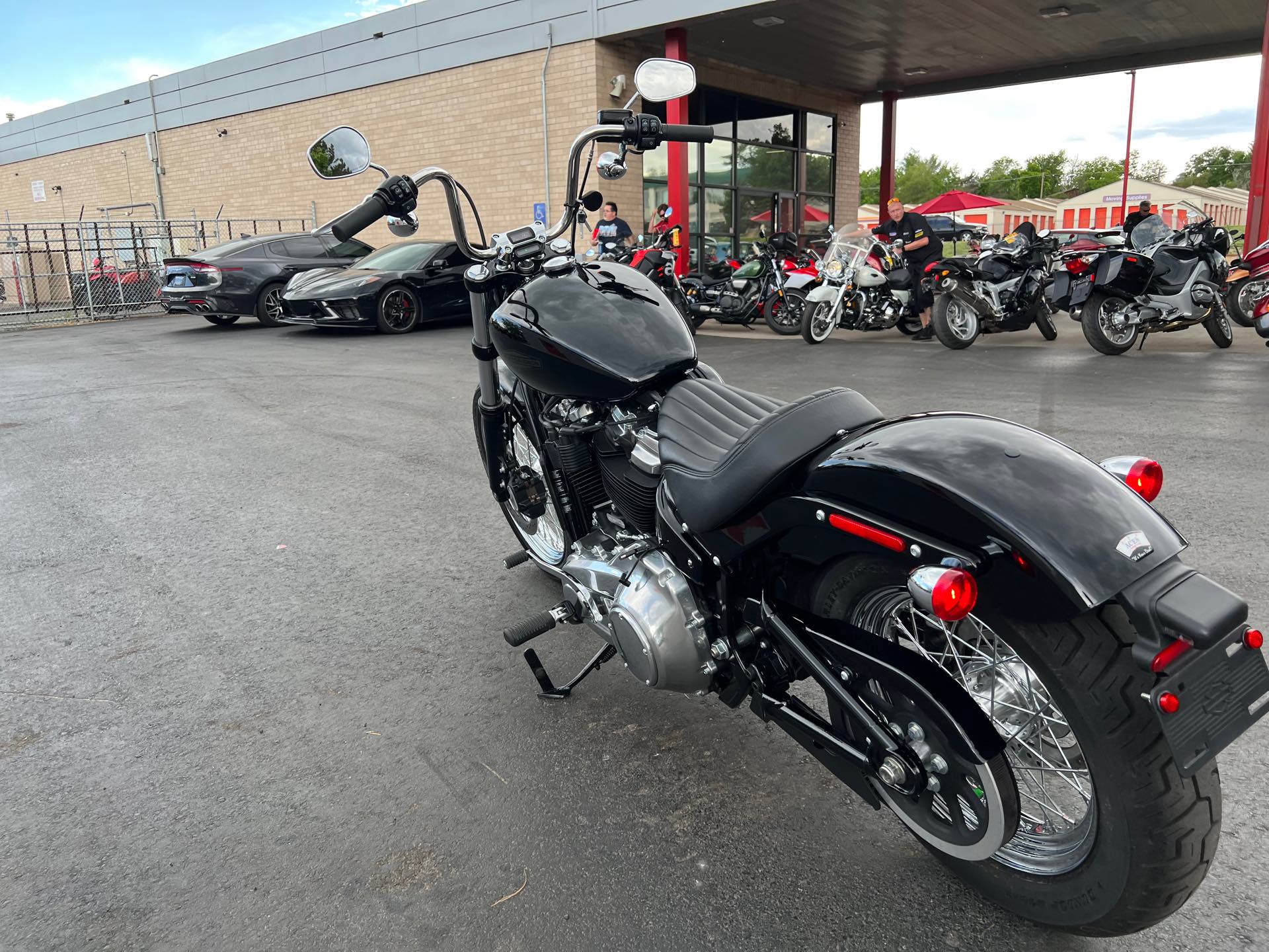 2021 Harley-Davidson Cruiser Softail Standard at Aces Motorcycles - Fort Collins