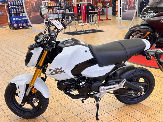 2025 Honda Grom Base at Southern Illinois Motorsports