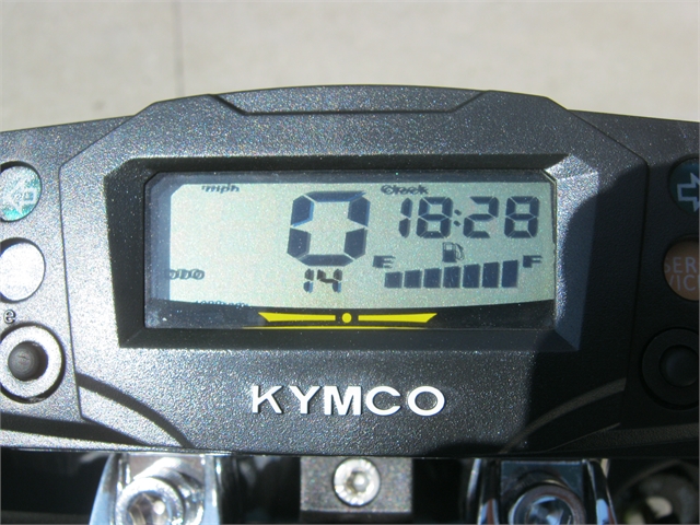 2021 Kymco Super 8 50cc at Brenny's Motorcycle Clinic, Bettendorf, IA 52722