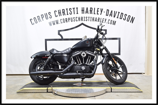 2019 Harley-Davidson Sportster Iron 883 at Corpus Christi Harley Davidson