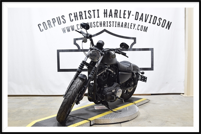 2019 Harley-Davidson Sportster Iron 883 at Corpus Christi Harley Davidson