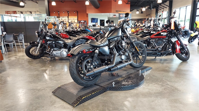 2019 Harley-Davidson Sportster Iron 883 at Keystone Harley-Davidson