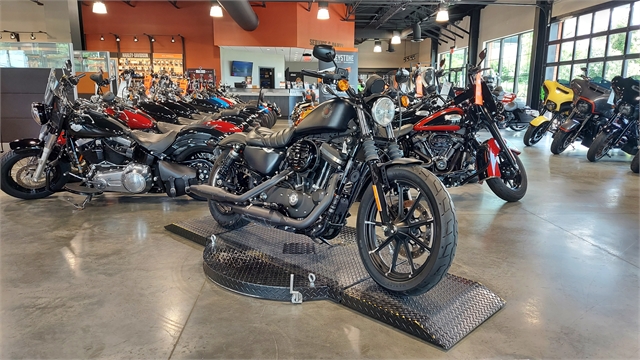 2019 Harley-Davidson Sportster Iron 883 at Keystone Harley-Davidson