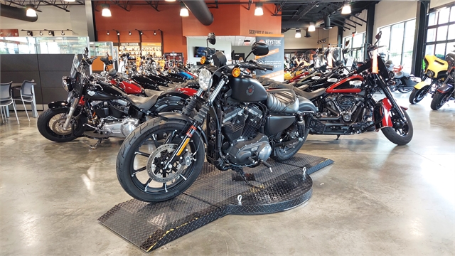 2019 Harley-Davidson Sportster Iron 883 at Keystone Harley-Davidson