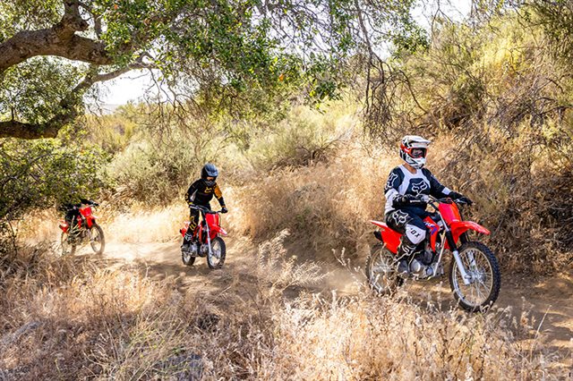 2025 Honda CRF 125F (Big Wheel) at Southern Illinois Motorsports