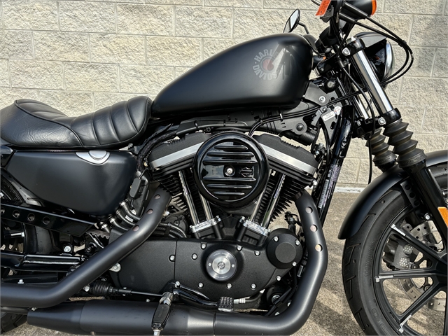 2021 Harley-Davidson XL883N at MineShaft Harley-Davidson