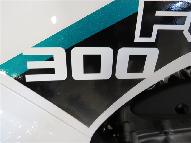 2022 Kawasaki Brute Force 300 at Sky Powersports Port Richey