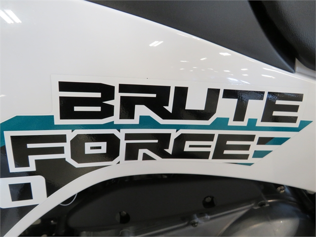 2022 Kawasaki Brute Force 300 at Sky Powersports Port Richey