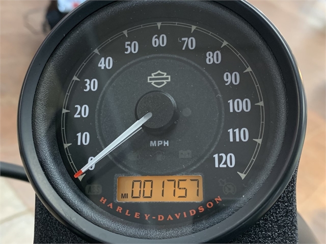 2019 Harley-Davidson Sportster Iron 883 at South East Harley-Davidson