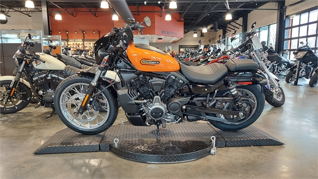 2024 Harley-Davidson Sportster Nightster Special at Keystone Harley-Davidson