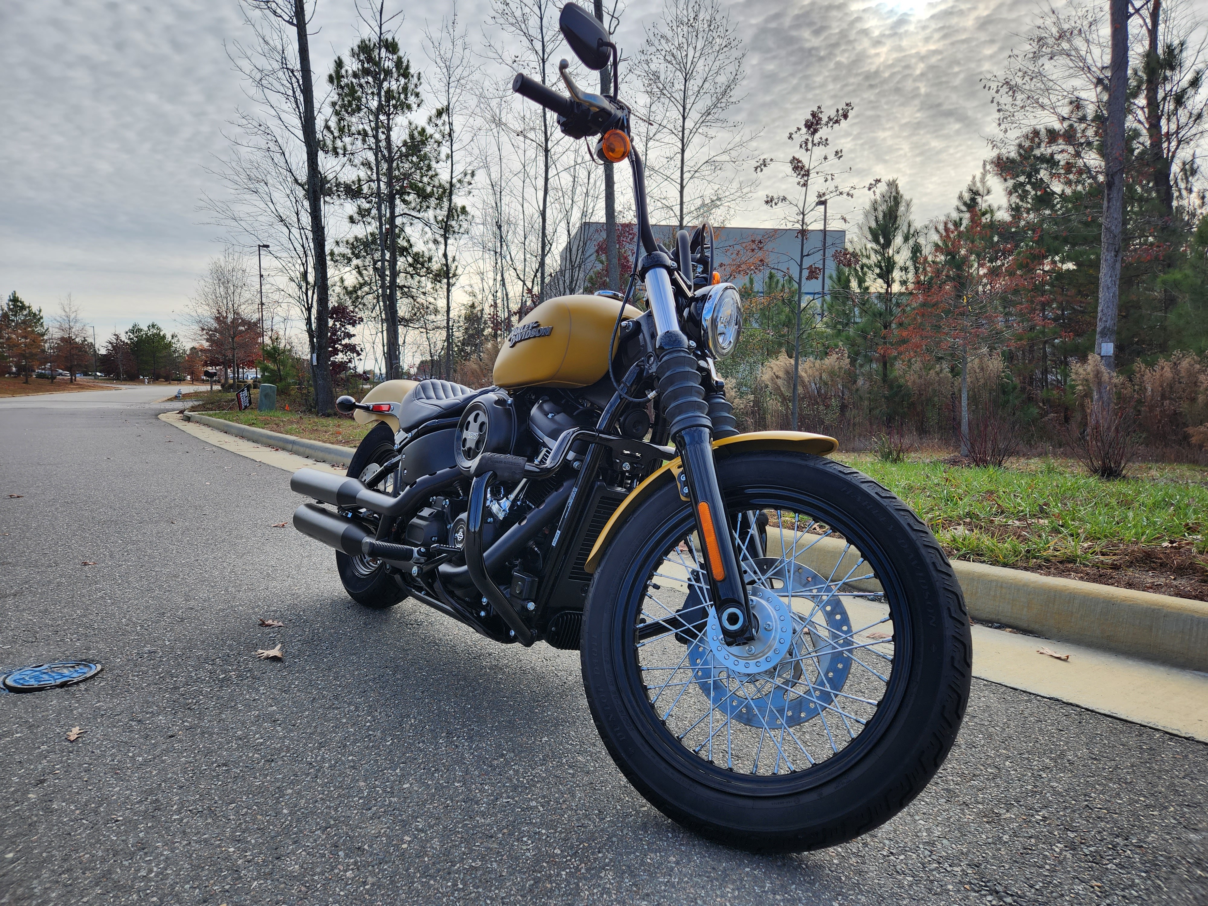 2019 Harley-Davidson Softail Street Bob at Richmond Harley-Davidson