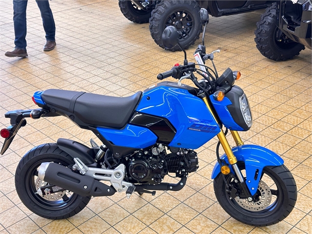 2025 Honda Grom Base at Southern Illinois Motorsports