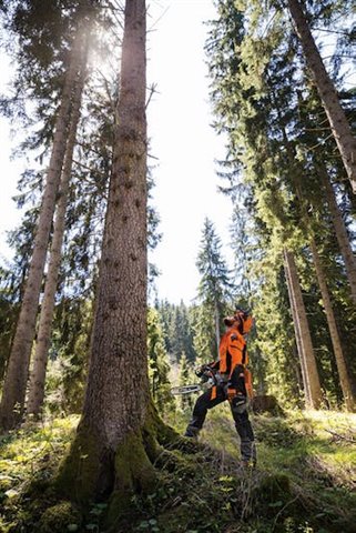 2024 STIHL MS462 25 at McKinney Outdoor Superstore