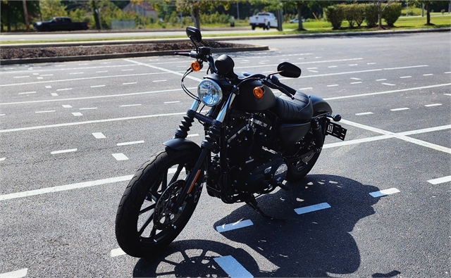 2020 Harley-Davidson Sportster Iron 883 at All American Harley-Davidson, Hughesville, MD 20637