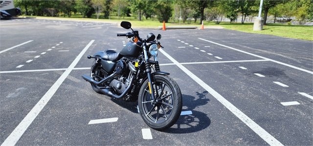 2020 Harley-Davidson Sportster Iron 883 at All American Harley-Davidson, Hughesville, MD 20637