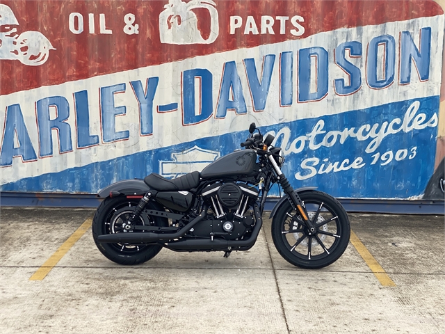 2022 Harley-Davidson Sportster Iron 883 at Gruene Harley-Davidson