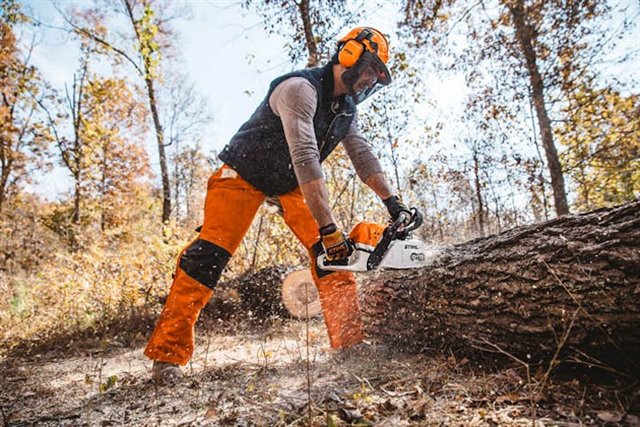 2024 STIHL MS391/20 at McKinney Outdoor Superstore