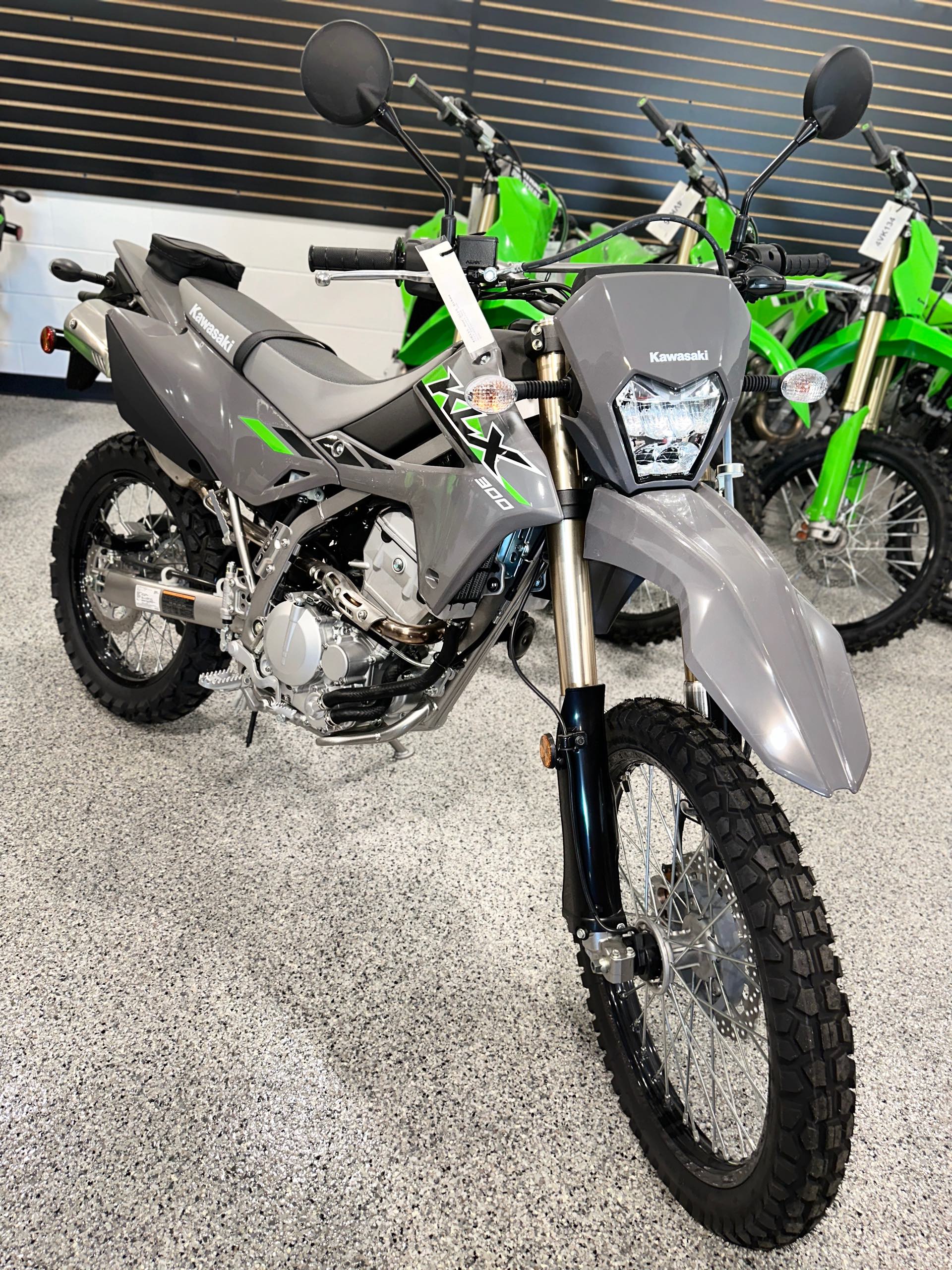 2025 Kawasaki KLX 300 at Big River Motorsports