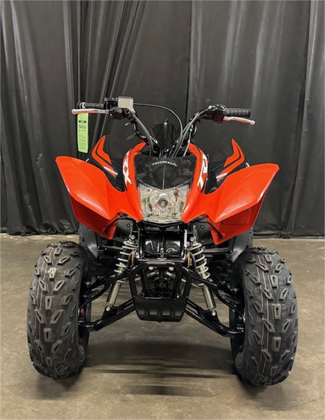 2024 Honda TRX 250X at Powersports St. Augustine