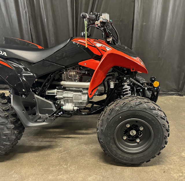 2024 Honda TRX 250X at Powersports St. Augustine