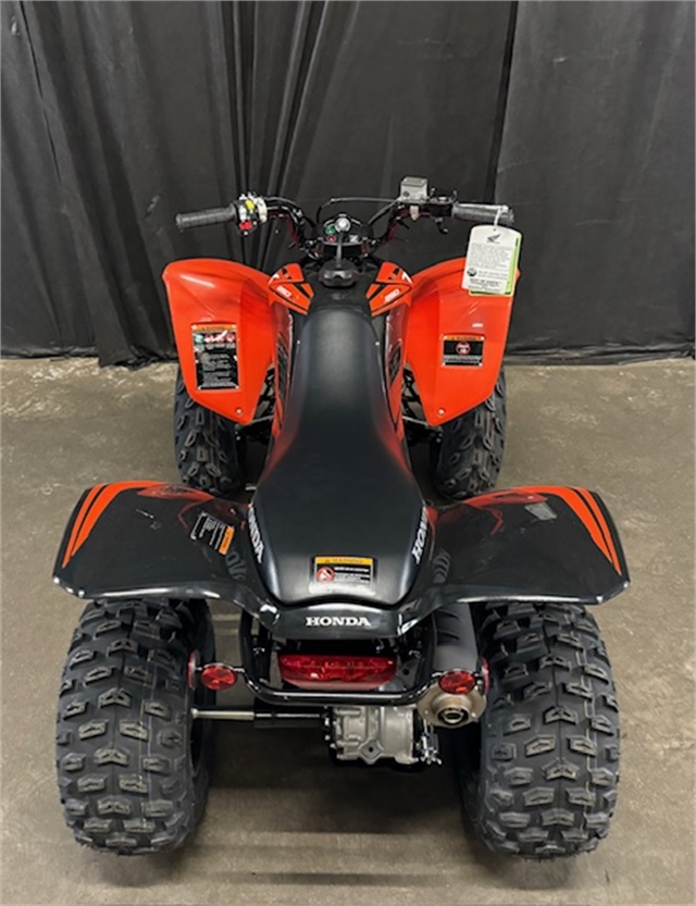 2024 Honda TRX 250X at Powersports St. Augustine