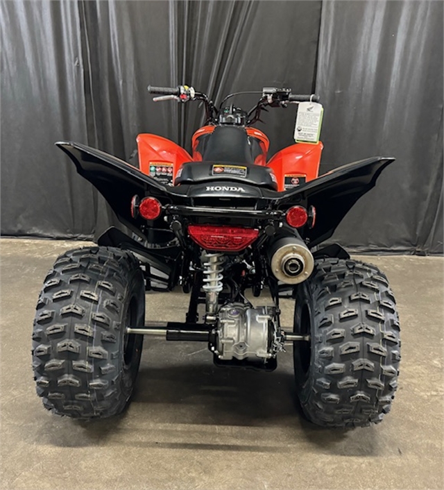 2024 Honda TRX 250X at Powersports St. Augustine