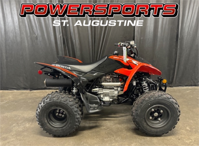 2024 Honda TRX 250X at Powersports St. Augustine