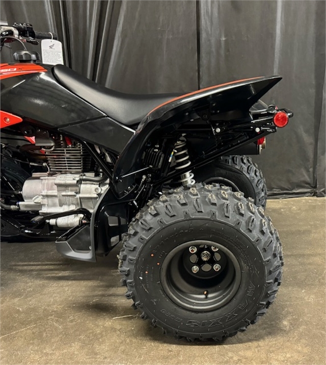 2024 Honda TRX 250X at Powersports St. Augustine