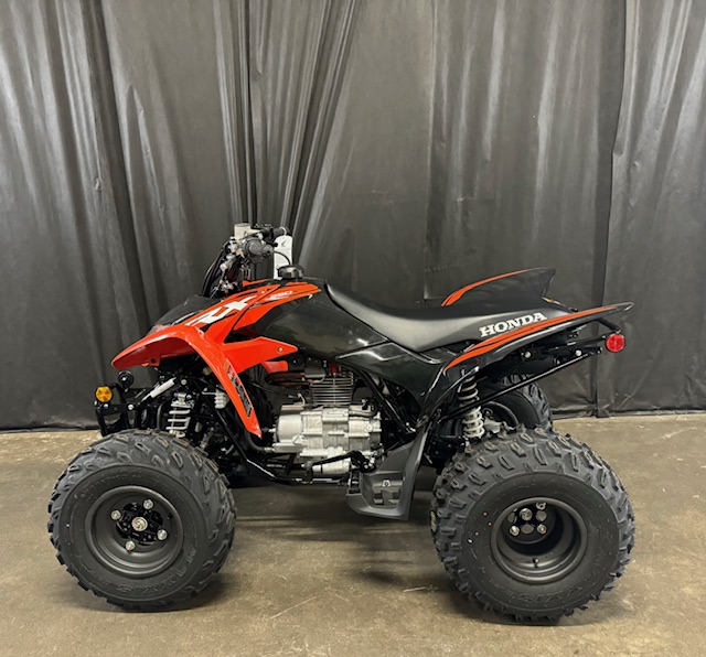 2024 Honda TRX 250X at Powersports St. Augustine