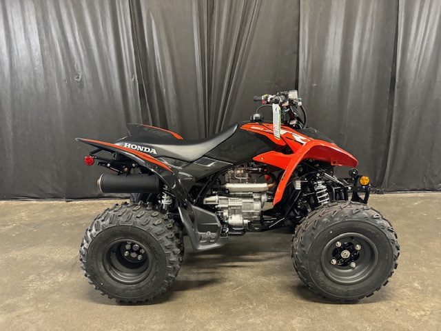 2024 Honda TRX 250X at Powersports St. Augustine