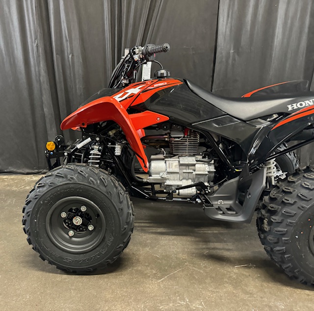 2024 Honda TRX 250X at Powersports St. Augustine