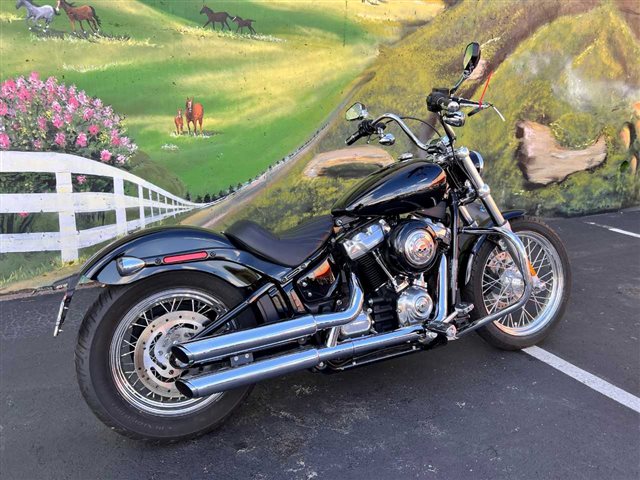 2021 Harley-Davidson Cruiser Softail Standard at Man O'War Harley-Davidson®