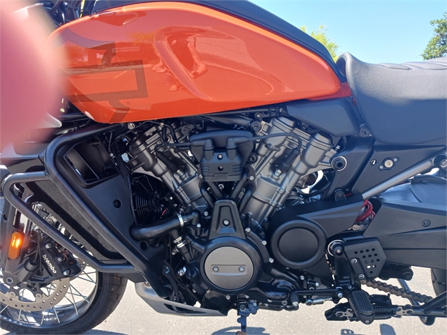 2021 Harley-Davidson Pan America' 1250 Special Pan America 1250 Special at Buddy Stubbs Arizona Harley-Davidson