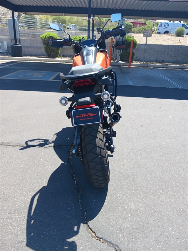 2021 Harley-Davidson Pan America' 1250 Special Pan America 1250 Special at Buddy Stubbs Arizona Harley-Davidson