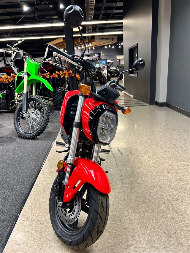 2023 Honda Grom Base at Sloans Motorcycle ATV, Murfreesboro, TN, 37129